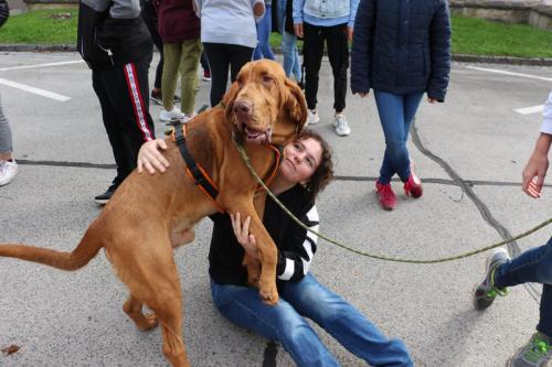 120792145 3380323162049500 7458408049946707927 o