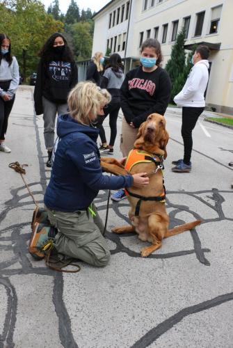 120853328 3380326408715842 2220885134115872809 o