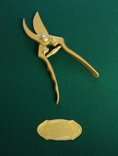 46486045 1965312263550604 3671845834309238784 n