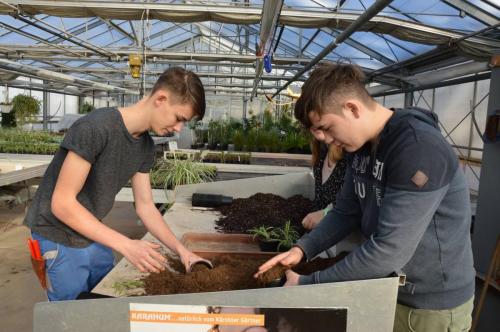 50003253 2048976321850864 1130299589736267776 o